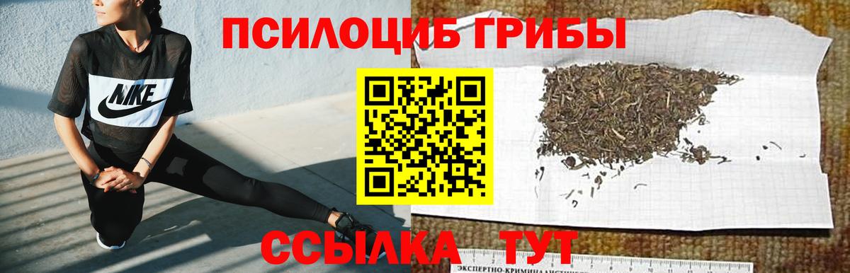 Псилоцибиновые грибы MAGIC MUSHROOMS Углич